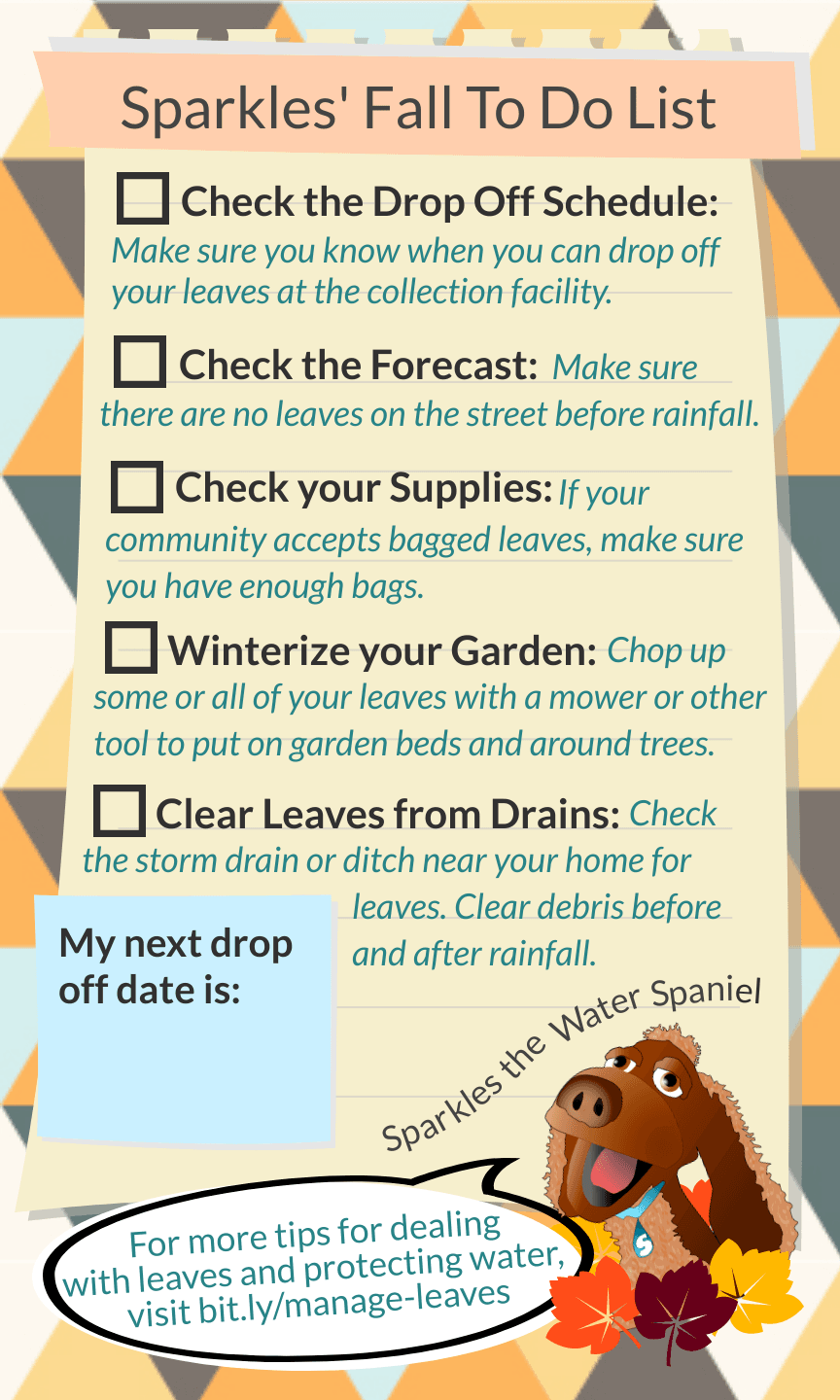 November 2024 Storm Water Educational Flyer