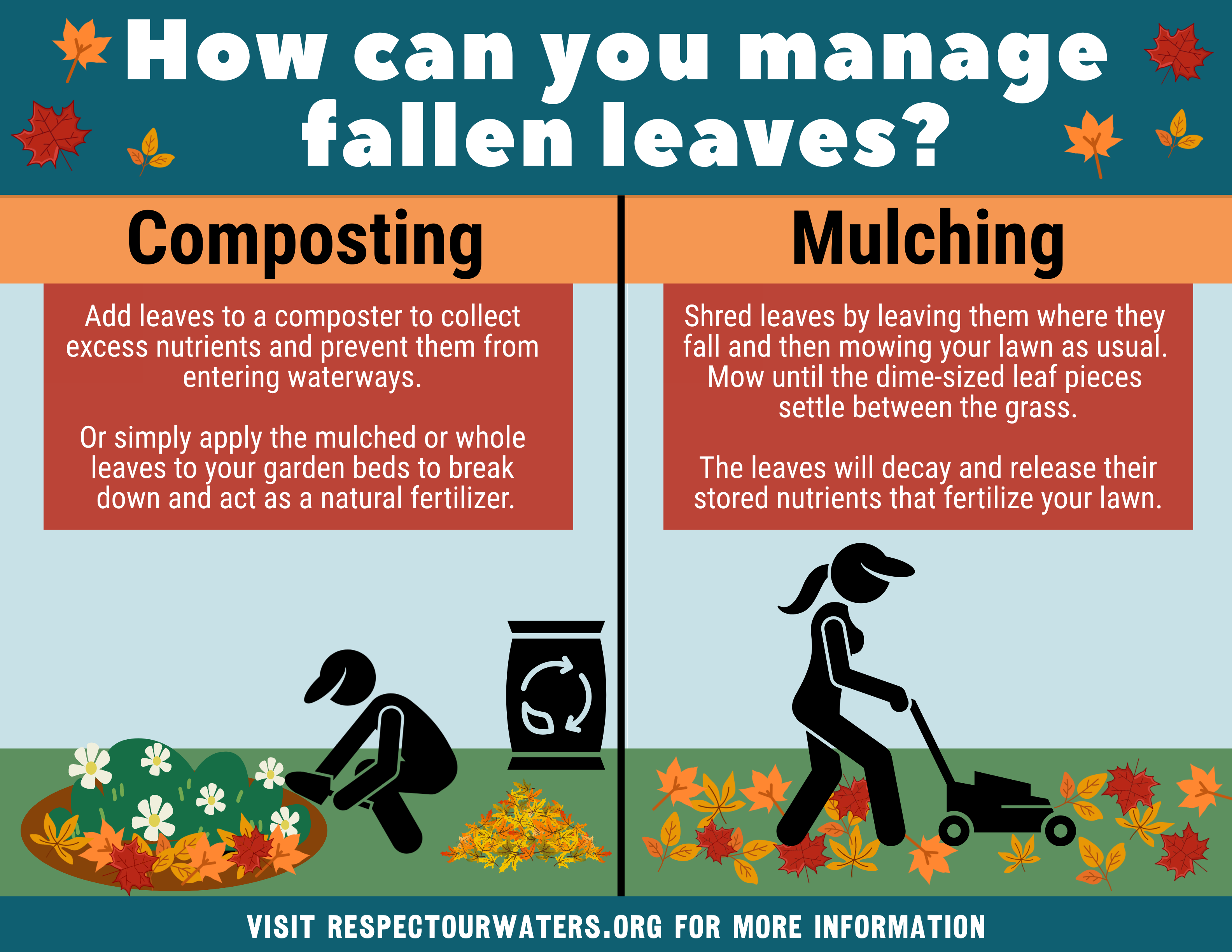 Leaf Management Graphic